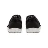 Amphibian 8 K Preto