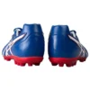 DS Light AG “Azul Vermelho”