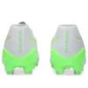 DS Light X-Fly 6 “White Green Gecko”