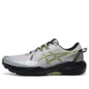 GEL-Venture 11 “Cinza Amarelo”