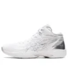 Gelhoop V14 “White Silver”