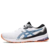 GT-1000 11 “Branco Azul Harmonia”