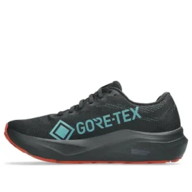 GT-2000 14 Gore Tex “Black Apricot Crush”
