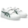 Japão S “White Ivy”