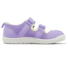 (PS) Amphibian 9 “Lavanda”